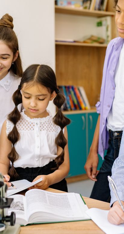 School Consultant in India