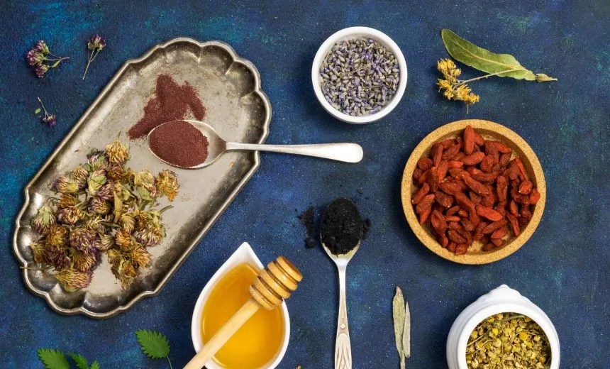 Nutraceutical Herbal Pharma Consultant in India